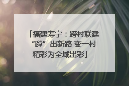 福建寿宁：跨村联建“蹚”出新路 变一村精彩为全域出彩