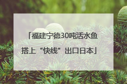 福建宁德30吨活水鱼搭上“快线”出口日本