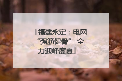 福建永定：电网“强筋健骨” 全力迎峰度夏