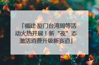 福建·厦门台湾周等活动火热开展！新“夜”态激活消费升级新赛道