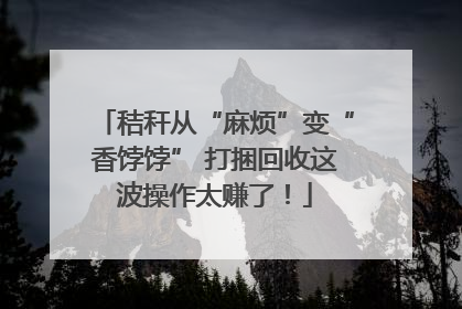 秸秆从“麻烦”变“香饽饽” 打捆回收这波操作太赚了！