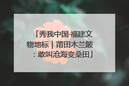 秀我中国·福建文物地标｜莆田木兰陂：敢叫沧海变桑田