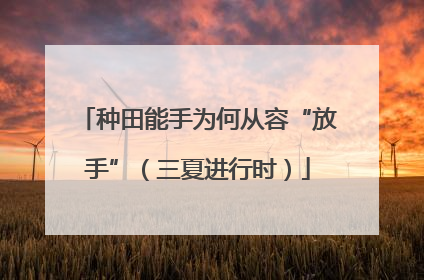 种田能手为何从容“放手”（三夏进行时）
