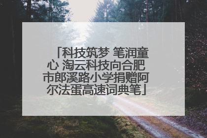 科技筑梦 笔润童心 淘云科技向合肥市郎溪路小学捐赠阿尔法蛋高速词典笔