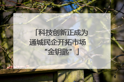科技创新正成为通城民企开拓市场“金钥匙”