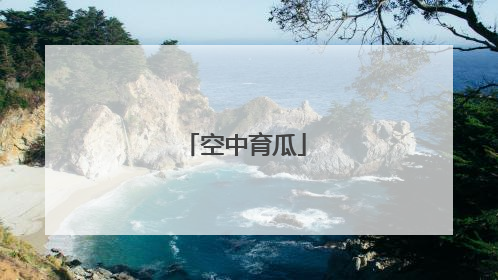 空中育瓜