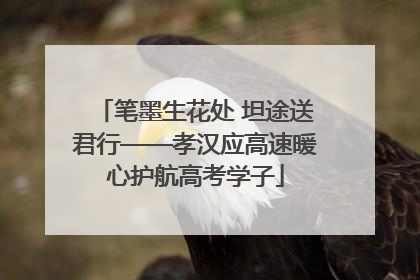 笔墨生花处 坦途送君行——孝汉应高速暖心护航高考学子