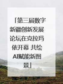 第三届数字新疆创新发展论坛在克拉玛依开幕 共绘AI赋能新图景