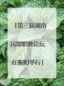 第三届湖南民盟职教论坛在衡阳举行
