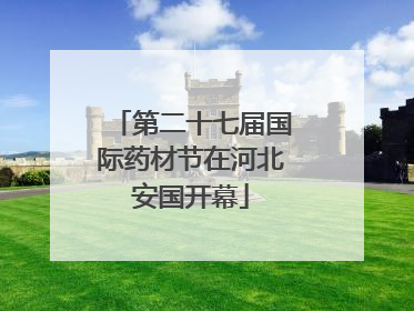 第二十七届国际药材节在河北安国开幕