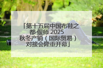 第十五届中国布鞋之都·偃师 2025 秋冬产销（国际贸易）对接会隆重开幕