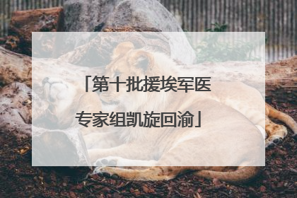 第十批援埃军医专家组凯旋回渝