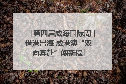 第四届威海国际周丨借港出海 威港澳“双向奔赴”闯新程