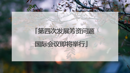 第四次发展筹资问题国际会议即将举行