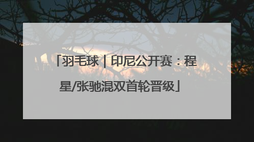 羽毛球｜印尼公开赛：程星/张驰混双首轮晋级