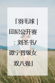 羽毛球｜印尼公开赛：刘圣书/谭宁晋级女双八强