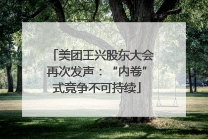 美团王兴股东大会再次发声：“内卷”式竞争不可持续