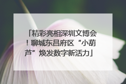 精彩亮相深圳文博会！聊城东昌府区“小葫芦”焕发数字新活力