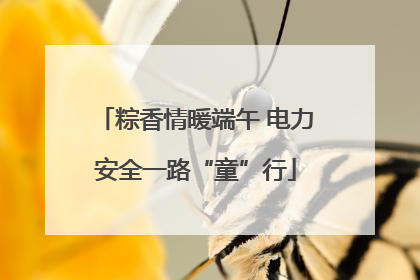 粽香情暖端午 电力安全一路“童”行