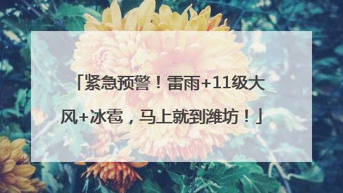 紧急预警！雷雨+11级大风+冰雹，马上就到潍坊！