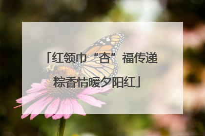 红领巾“杏”福传递 粽香情暖夕阳红
