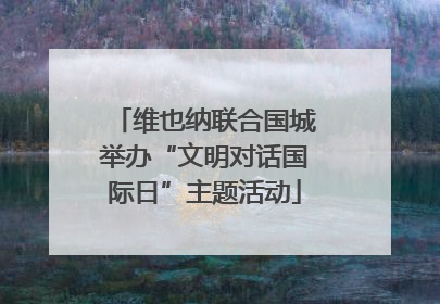 维也纳联合国城举办“文明对话国际日”主题活动