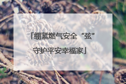 绷紧燃气安全“弦” 守护平安幸福家
