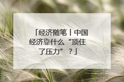 经济随笔丨中国经济靠什么“顶住了压力”？