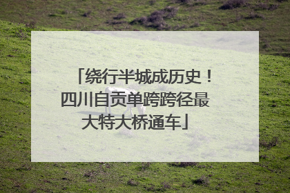 绕行半城成历史！四川自贡单跨跨径最大特大桥通车