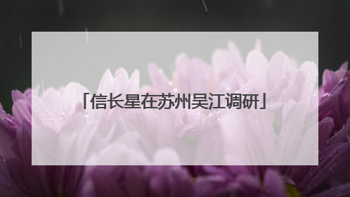 信长星在苏州吴江调研