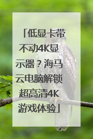 低显卡带不动4K显示器？海马云电脑解锁超高清4K游戏体验