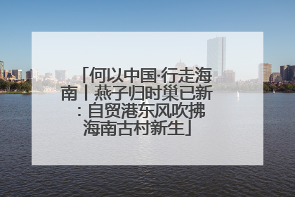 何以中国·行走海南丨燕子归时巢已新：自贸港东风吹拂 海南古村新生