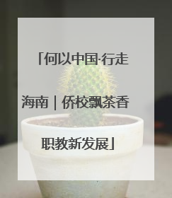 何以中国·行走海南｜侨校飘茶香 职教新发展