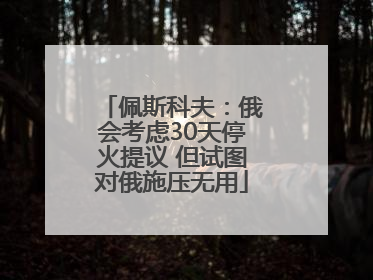佩斯科夫：俄会考虑30天停火提议 但试图对俄施压无用