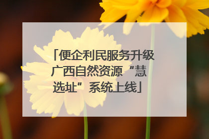 便企利民服务升级 广西自然资源“慧选址”系统上线