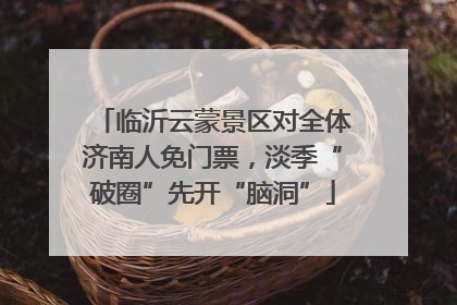 临沂云蒙景区对全体济南人免门票，淡季“破圈”先开“脑洞”