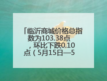 临沂商城价格总指数为103.38点，环比下跌0.10点（5月15日—5月21日）