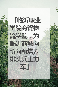 临沂职业学院商贸物流学院：为临沂商城向新向前培养排头兵主力军