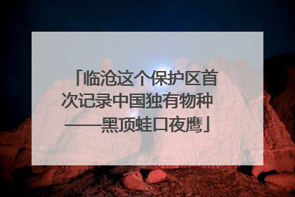临沧这个保护区首次记录中国独有物种——黑顶蛙口夜鹰