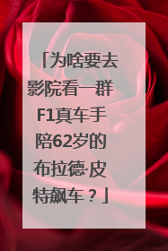 为啥要去影院看一群F1真车手陪62岁的布拉德·皮特飙车？