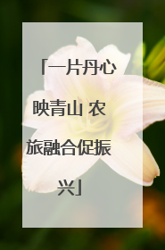 一片丹心映青山 农旅融合促振兴