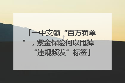 一中支领“百万罚单”，紫金保险何以甩掉“违规频发”标签