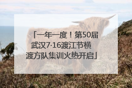 一年一度！第50届武汉7·16渡江节横渡方队集训火热开启