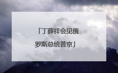丁薛祥会见俄罗斯总统普京