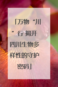 万物“川”行 揭开四川生物多样性的守护密码