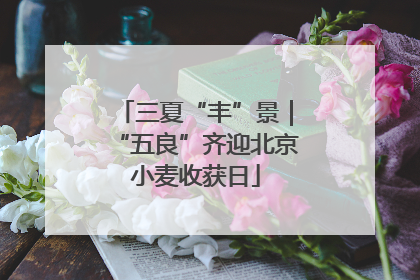 三夏“丰”景｜“五良”齐迎北京小麦收获日