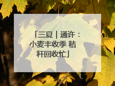 三夏｜通许：小麦丰收季 秸秆回收忙