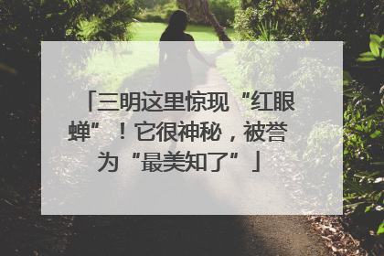 三明这里惊现“红眼蝉”！它很神秘，被誉为“最美知了”