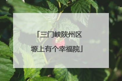 三门峡陕州区 塬上有个幸福院