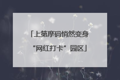 上第摩码悄然变身“网红打卡”园区